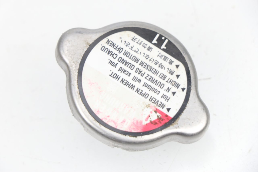 photo de RADIATORE HONDA NPS ZOOMER 50 (2004 - 2013) - Vista principale