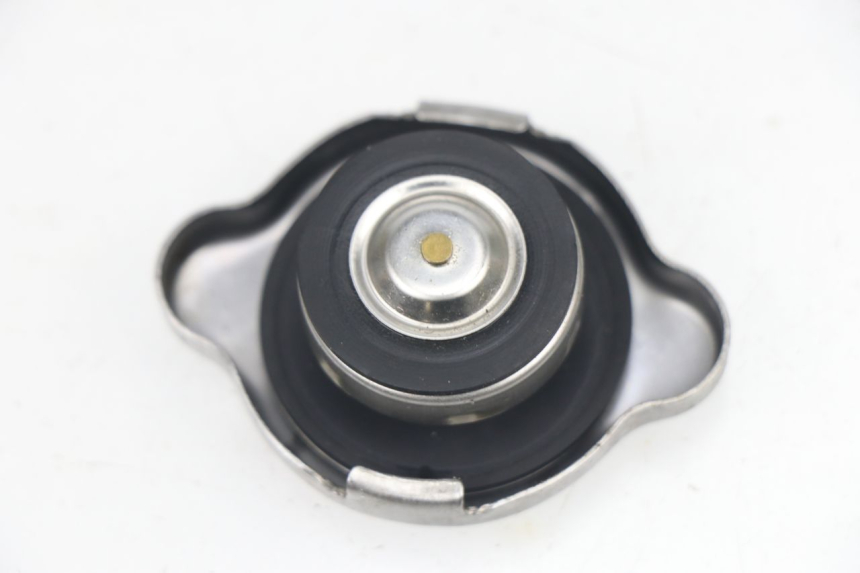 photo de RADIATORE HONDA NPS ZOOMER 50 (2004 - 2013) - Dettaglio del componente