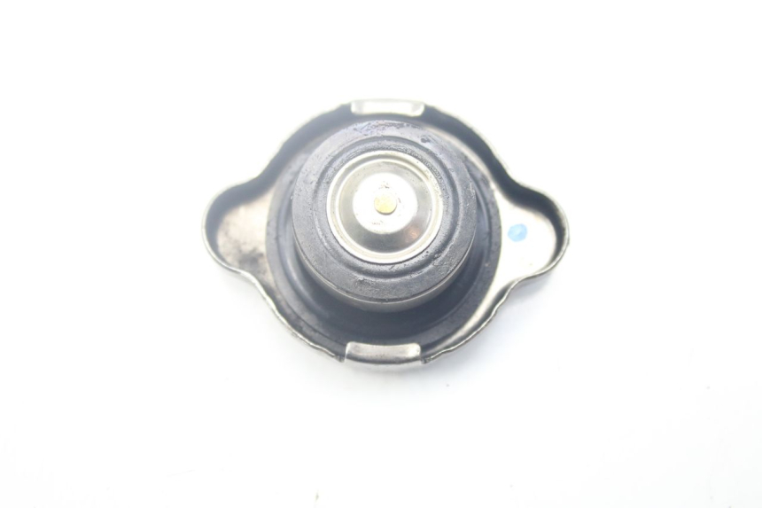 photo de RADIATORE KYMCO PEOPLE 250 (2004 - 2008) - Zoom sullo stato d'uso