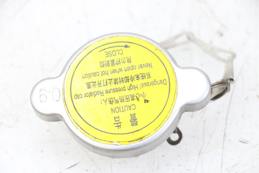 photo de TAPPO DEL RADIATORE PEUGEOT CITYSTAR 125 (2011 - 2017) - Vista principale