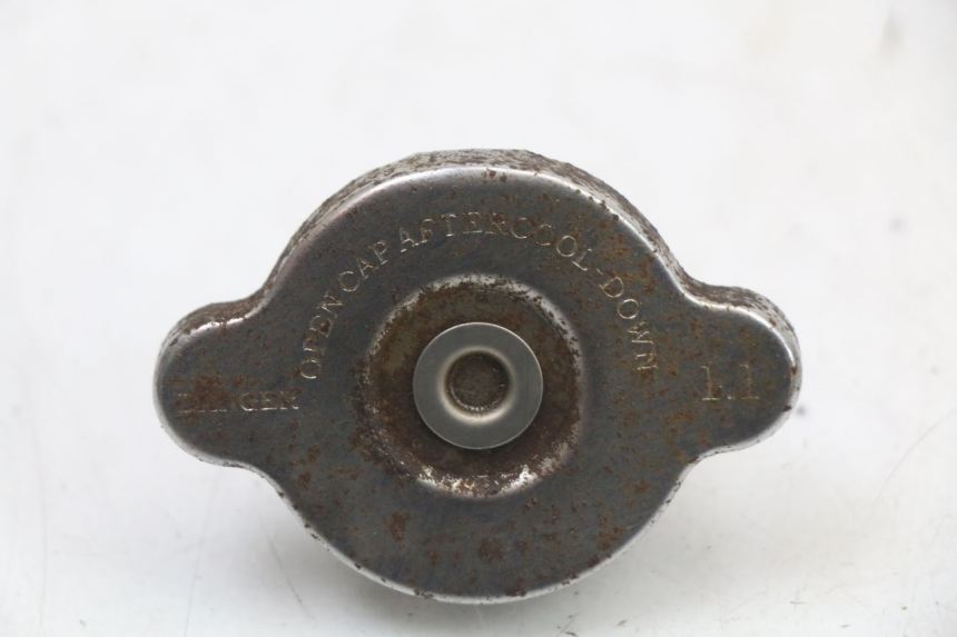 photo de RADIATORE REGAL RAPTOR SPYDER 125 (2010 - 2018) - Vista principale