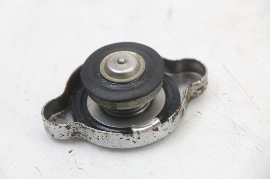 photo de RADIATORE REGAL RAPTOR SPYDER 125 (2010 - 2018) - Altra angolazione