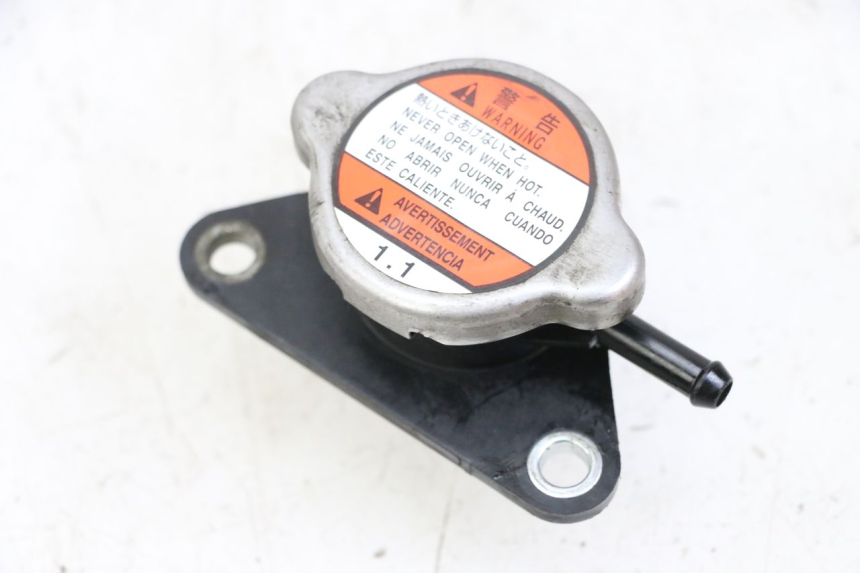 photo de RADIATORE SUZUKI BURGMAN 125 (2015 - 2017) - Dettaglio del componente