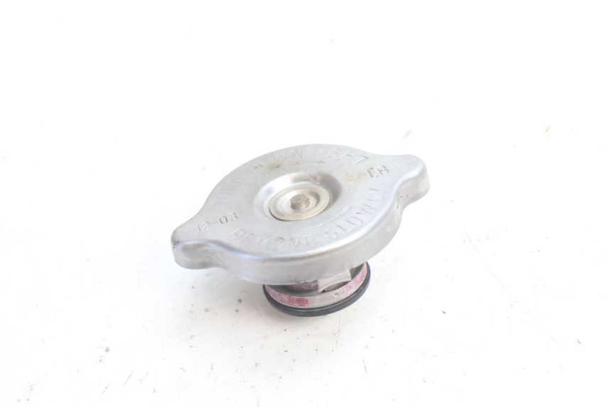 photo de RADIATORE HUSABERG TE 250 (2011 - 2014) - Dettaglio del componente