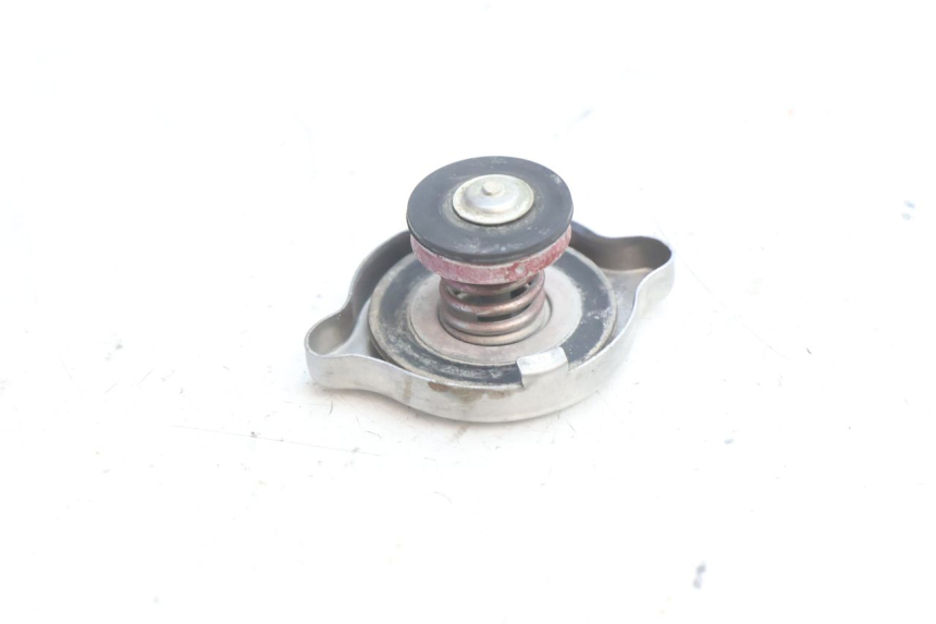 photo de RADIATORE HUSABERG TE 250 (2011 - 2014) - Zoom sullo stato d'uso