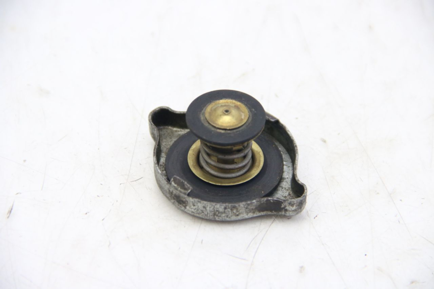 photo de TAPPO DEL RADIATORE PEUGEOT XP6 50 (1997 - 2003) - Dettaglio del componente