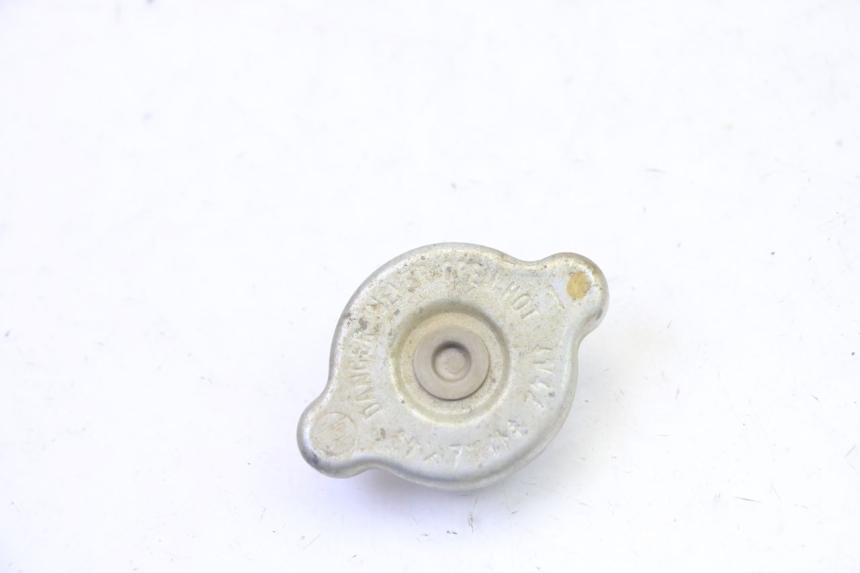 photo de RADIATORE YAMAHA YFM GRIZZLY 550 (2008 - 2015) - Vista principale