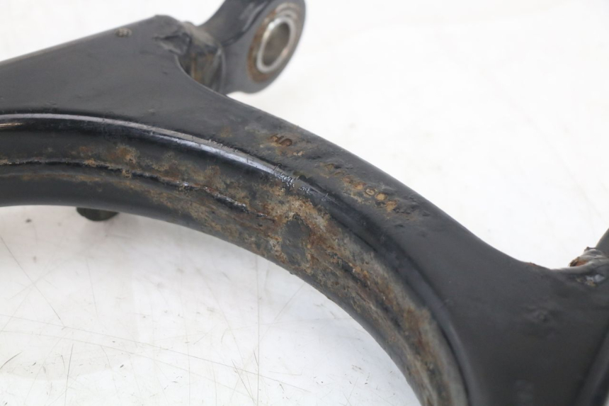 photo de FORCELLONE HARLEY DAVIDSON SPORTSTER XL CUSTOM 883 (1999 - 2006) - Primo piano ad alta risoluzione