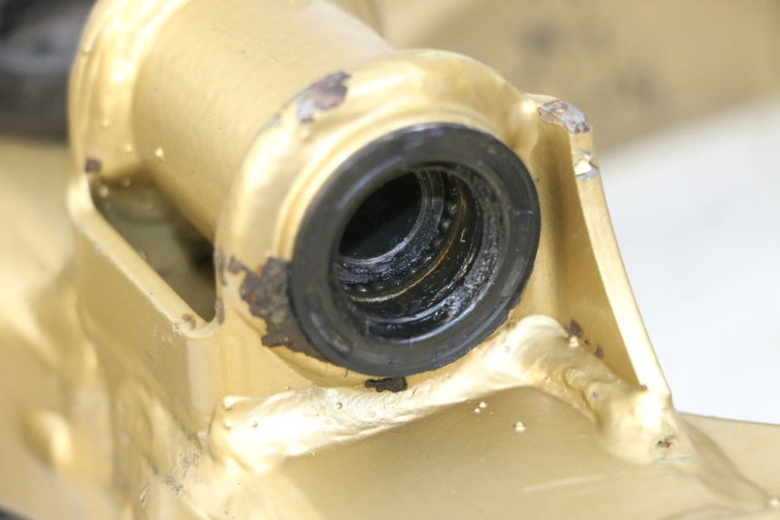 photo de FORCELLONE KAWASAKI KX 65 (2000 - 2019) - Primo piano tecnico