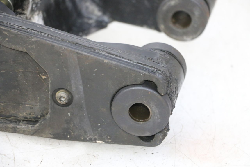 photo de FORCELLONE TRIUMPH SPRINT 900 (1995 - 1998) - Focus sulla struttura