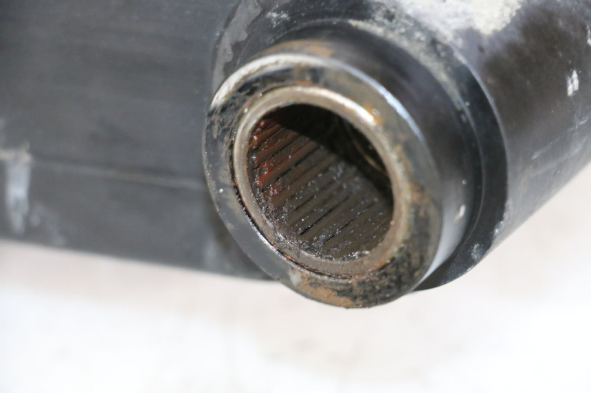 photo de FORCELLONE TRIUMPH SPRINT 900 (1995 - 1998) - Primo piano tecnico