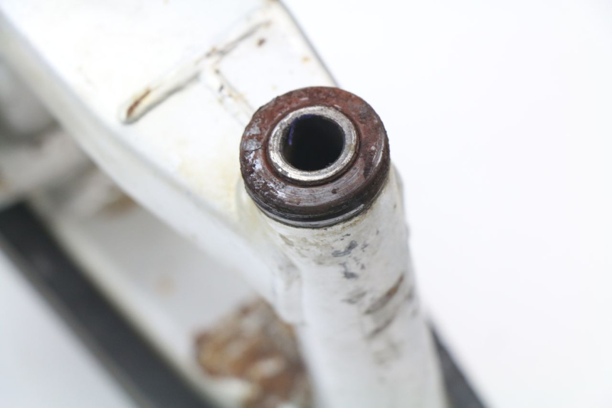 photo de Braccio oscillante YAMAHA TTR 125 (2000 - 2020) - Dettaglio del componente