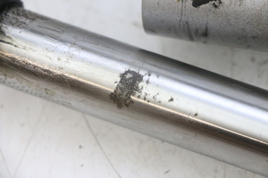 photo de FORCELLONE KAWASAKI ZR 7 750 (1999 - 2004) - Primo piano tecnico