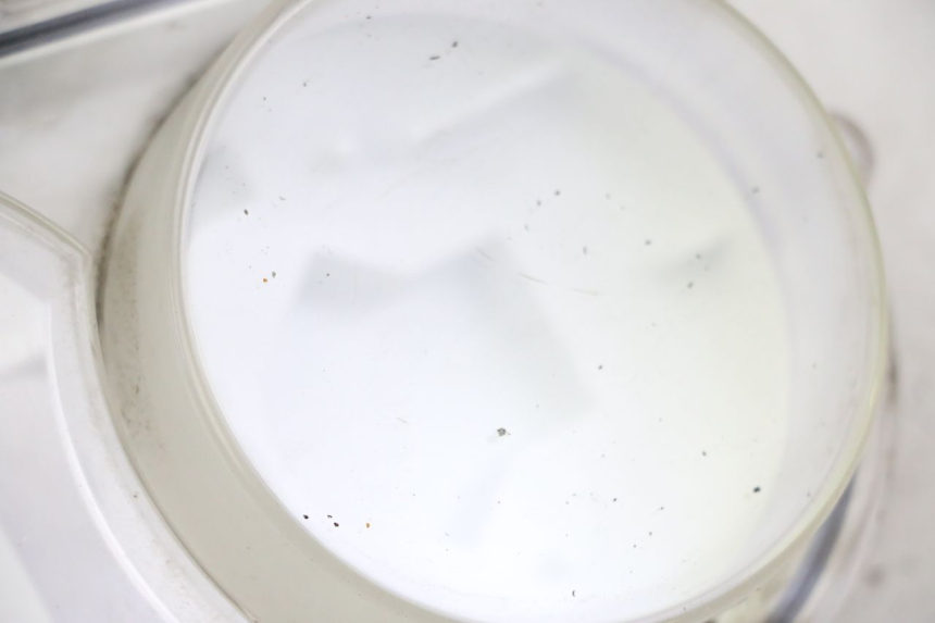 photo de CONTACHILOMETRI GEMMA PEUGEOT SATELIS 250 (2006 - 2012) - Dettaglio del componente