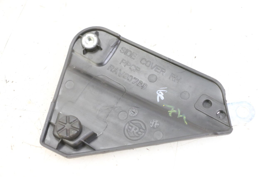 photo de TELAIO CARENA DESTRA ROYAL ENFIELD HYMALAYAN 410 (2016 - 2023) - Zoom sullo stato d'uso