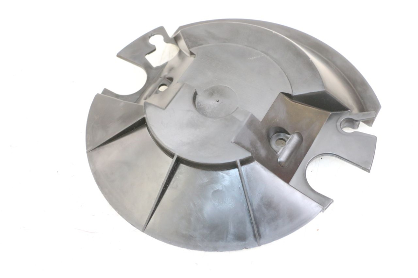 photo de CARENA FORCELLA  PEUGEOT ELYSTAR 125 (2002 - 2007) - Dettaglio del componente