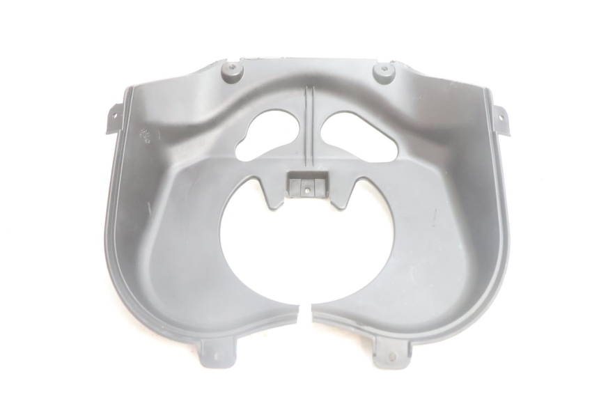 photo de CARENA FORCELLA  PEUGEOT STREETZONE NAKED 2T 50 (2014 - 2018) - Vista principale