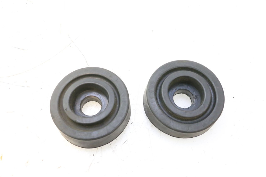 photo de PARAOLI FARO JM MOTORS F45i 4T 50 (2020 - 2023) - Vista principale