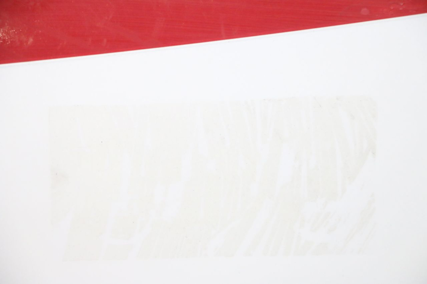 photo de CARENA SOTTO SELLA DESTRA KAWASAKI GPX R WARBIRD 600 (1988 - 1993) - Zoom sui componenti