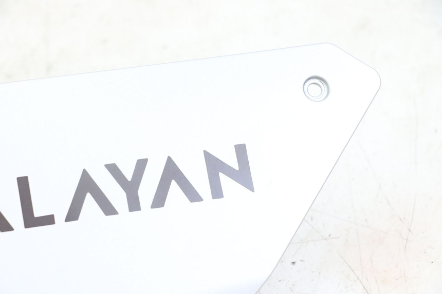 photo de CARENA SOTTO SELLA SINISTRA ROYAL ENFIELD HYMALAYAN 410 (2016 - 2023) - Primo piano tecnico