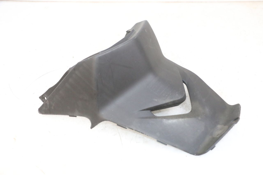 photo de COPERCHIO SOTTO SELLA DAELIM S1 125 (2007 - 2016) - Primo piano tecnico