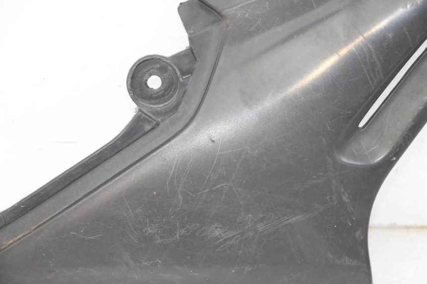 photo de CARENA SOTTO SELLA YAMAHA XJN DIVERSION 600 (2000 - 2003) - Primo piano tecnico