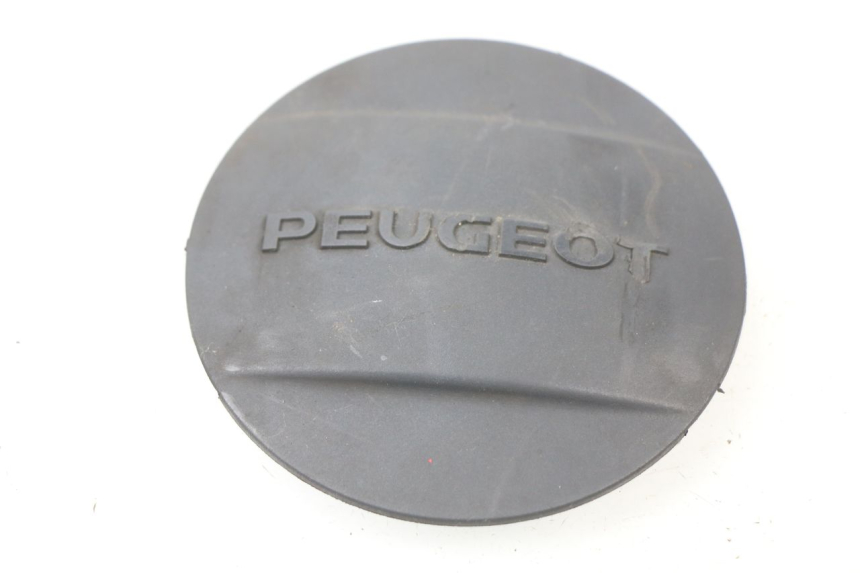 photo de COPERCHIO TRASMISSIONE PEUGEOT LOOXOR 125 (2002 - 2006) - Vista principale
