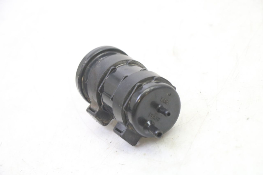 photo de CANISTRO MOTRON BREEZY 4T 50 (2021 - 2025) - Altra angolazione