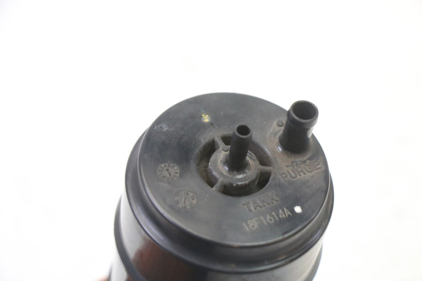 photo de CANISTRO BMW G310 R 310 (2016 - 2020) - Altra angolazione