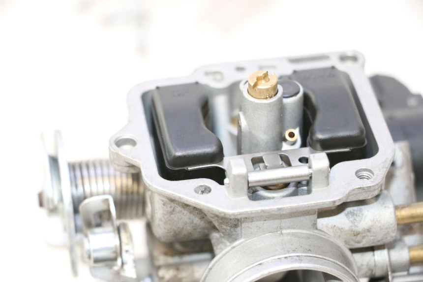 photo de CARBURATORE JM MOTORS EVOLIS 4T 50 (2018 - 2022) - Panoramica del profilo