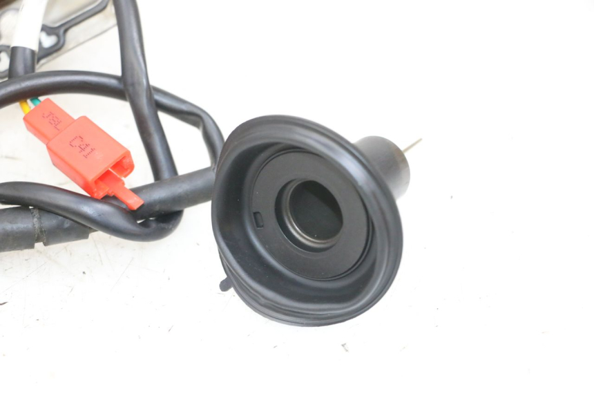 photo de CARBURATORE TNT MOTOR ROMA 10' 4T 50 (2019 - 2022) - Focus sulla struttura