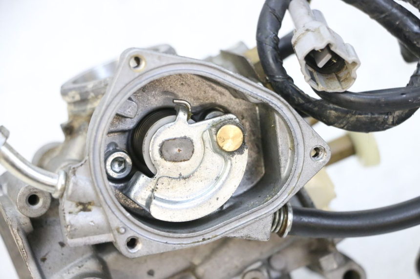 photo de CARBURATORE YAMAHA YFM R RAPTOR 250 (2008 - 2014) - Panoramica del profilo