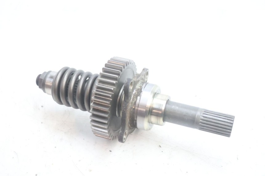 photo de CARDANICO SUZUKI BURGMAN EXECUTIVE ABS 650 (2006 - 2012) - Vista principale