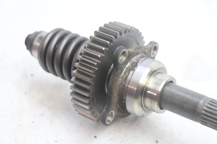 photo de CARDANICO SUZUKI BURGMAN EXECUTIVE ABS 650 (2006 - 2012) - Dettaglio del componente