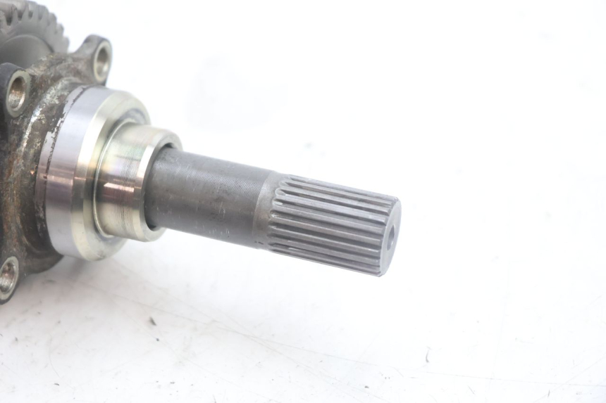 photo de CARDANICO SUZUKI BURGMAN EXECUTIVE ABS 650 (2006 - 2012) - Altra angolazione