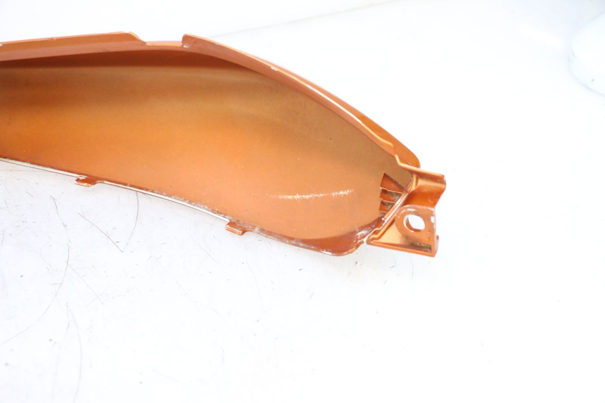 photo de CARENA POSTERIORE HONDA CB F HORNET 600 (2005 - 2006) - Caratteristiche distintive