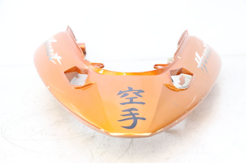 photo de CARENA POSTERIORE HONDA CB F HORNET 600 (2005 - 2006) - Ispezione visiva dettagliata
