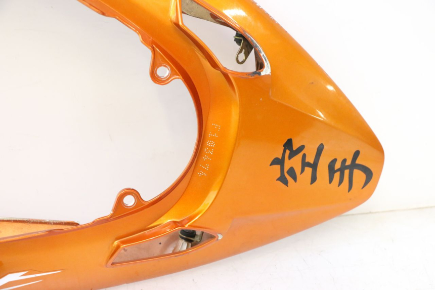 photo de CARENA POSTERIORE HONDA CB F HORNET 600 (2005 - 2006) - Panoramica del profilo