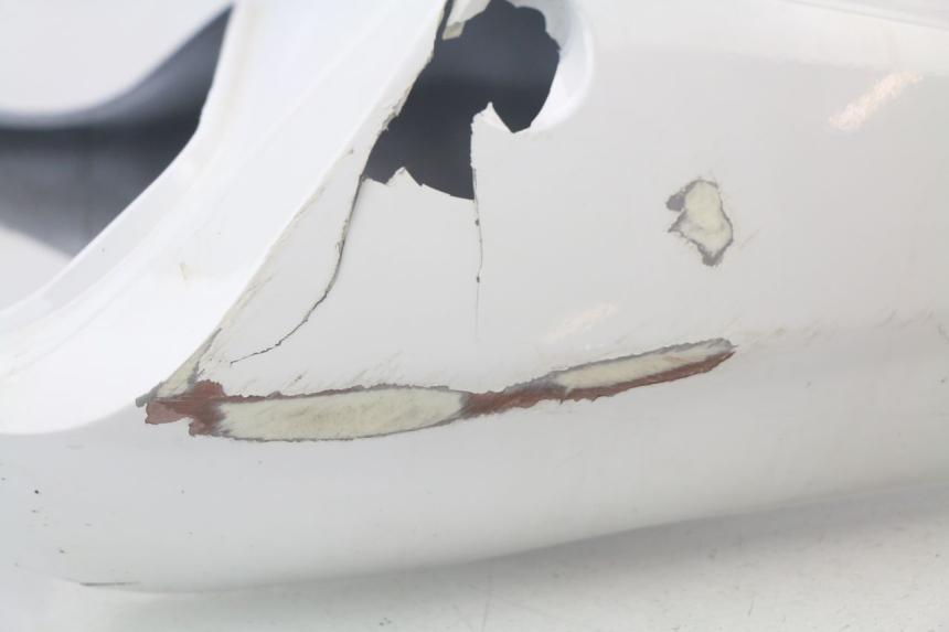 photo de Carena posteriore HONDA CBR 929 RR FIREBLADE 900 (2000 - 2001) - Caratteristiche distintive