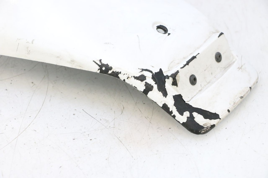 photo de CARENAGE POSTERIORE PEUGEOT TREKKER 50 (1995 - 2004) - Stato della superficie e materiale