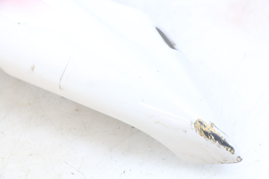 photo de CARENAGE POSTERIORE YAMAHA YZF R THUNDERCAT 600 (1996 - 2003) - Marcature e riferimenti originali