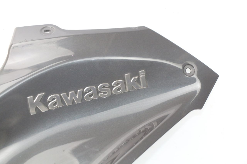 photo de Carena serbatoio KAWASAKI Z Z900 900 (2017 - 2019) - Panoramica del profilo