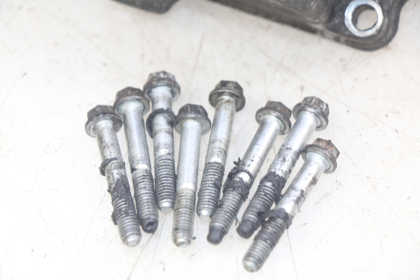 photo de CARTER ACCENSIONE PEUGEOT ELYSEO 125 (1999 - 2004) - Stato della superficie e materiale