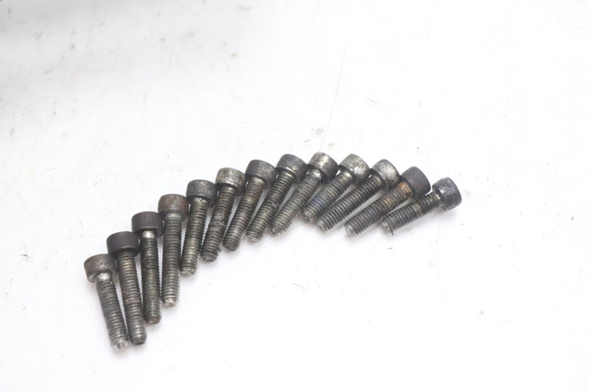 photo de CARTER ACCENSIONE DUCATI SS IE DS CARENEE 1000 (2002 - 2006) - Stato della superficie e materiale