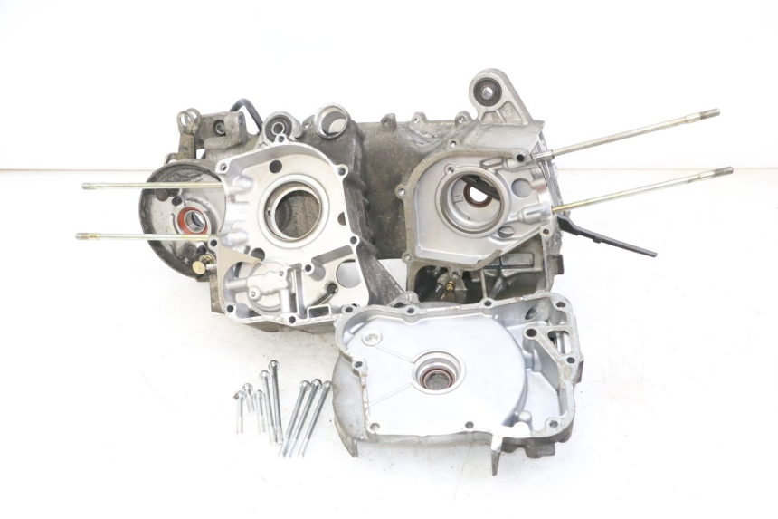 photo de CARTER MOTORE DAELIM BESBI 125 (2007 - 2008) - Zoom sullo stato d'uso