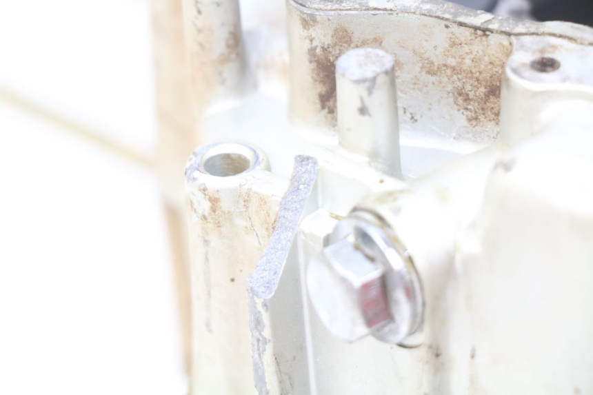 photo de CARTER BAS MOTEUR CHINESE QUAD ENFANT ATV PUMA 50 - Stato della superficie e materiale