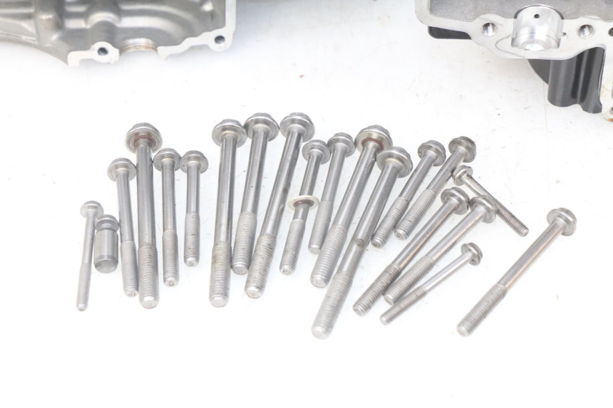 photo de CARTER MOTORE INFERIORE BMW F GS K81 850 (2018 - 2023) - Angolazione alternativa