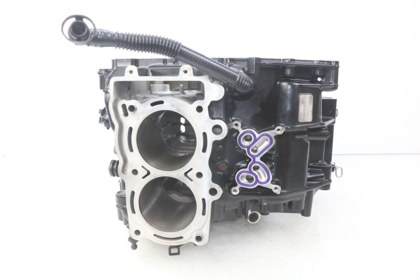 photo de CARTER MOTORE INFERIORE BMW F GS K81 850 (2018 - 2023) - Zoom sullo stato d'uso