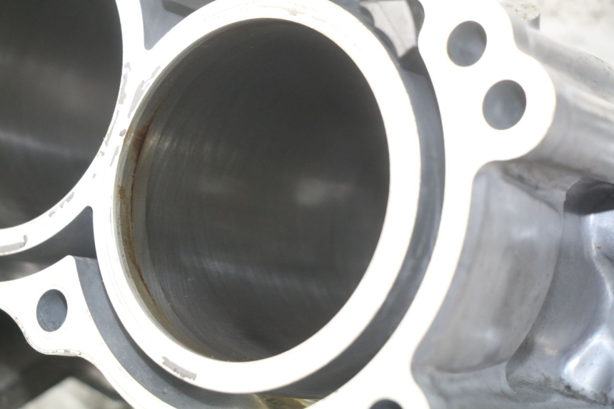 photo de CARTER MOTORE INFERIORE HONDA INTEGRA NC D 750 (2016 - 2018) - Stato della superficie e materiale