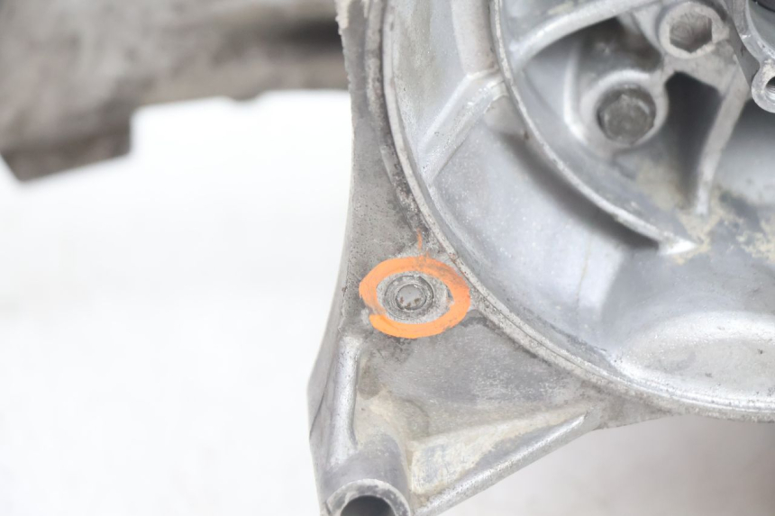 photo de CARTER MOTORE PEUGEOT LUDIX BLASTER 50 (2006 - 2014) - Caratteristiche distintive